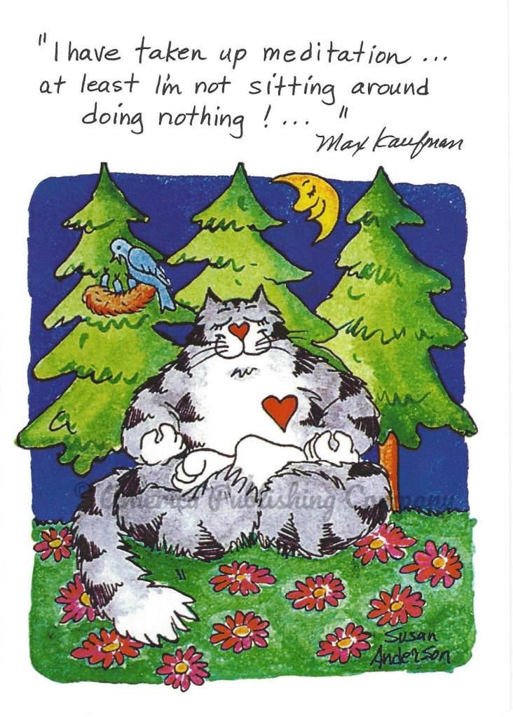 Thinking of You - Max Kaufman (Blank Inside) card