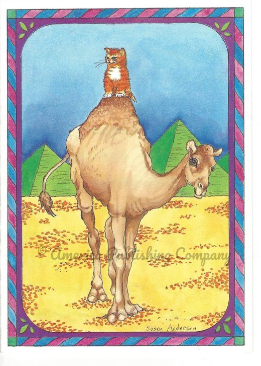 Birthday - Cat On Camel
