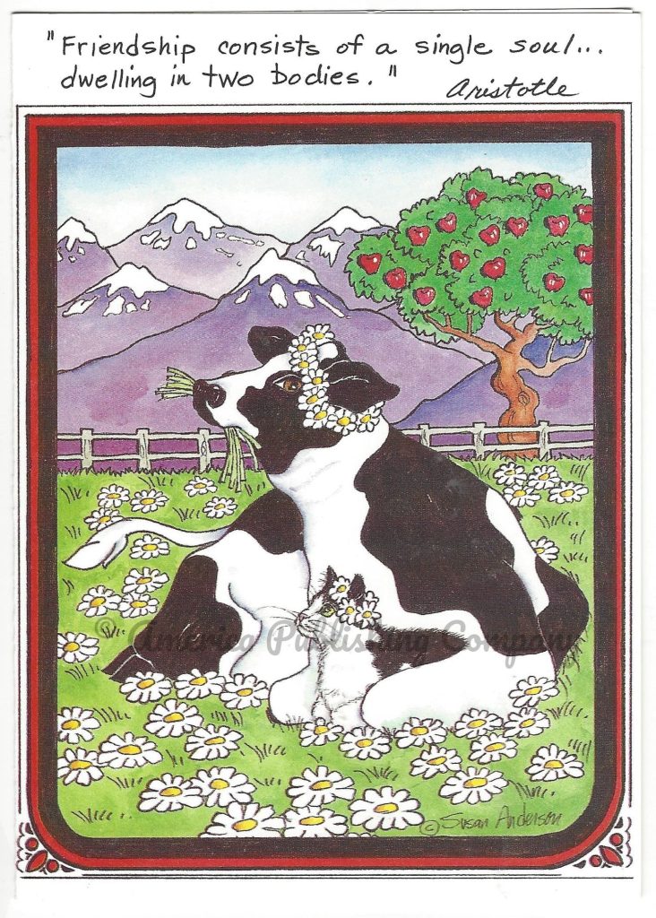 Friendship - Blank - Cat & Holstein card