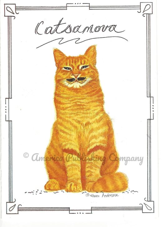 Enclosure Card Catsanova