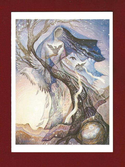 Willow Birthday/Friendship - Transition