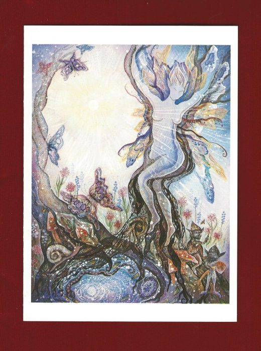 Willow Friendship - Butterfly Fairy